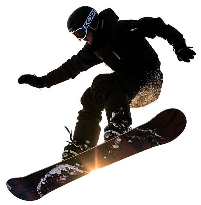 vector